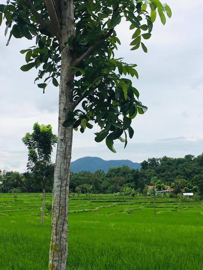 Tommy Homestay Plambi Exterior photo
