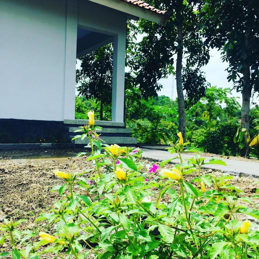 Tommy Homestay Plambi Exterior photo