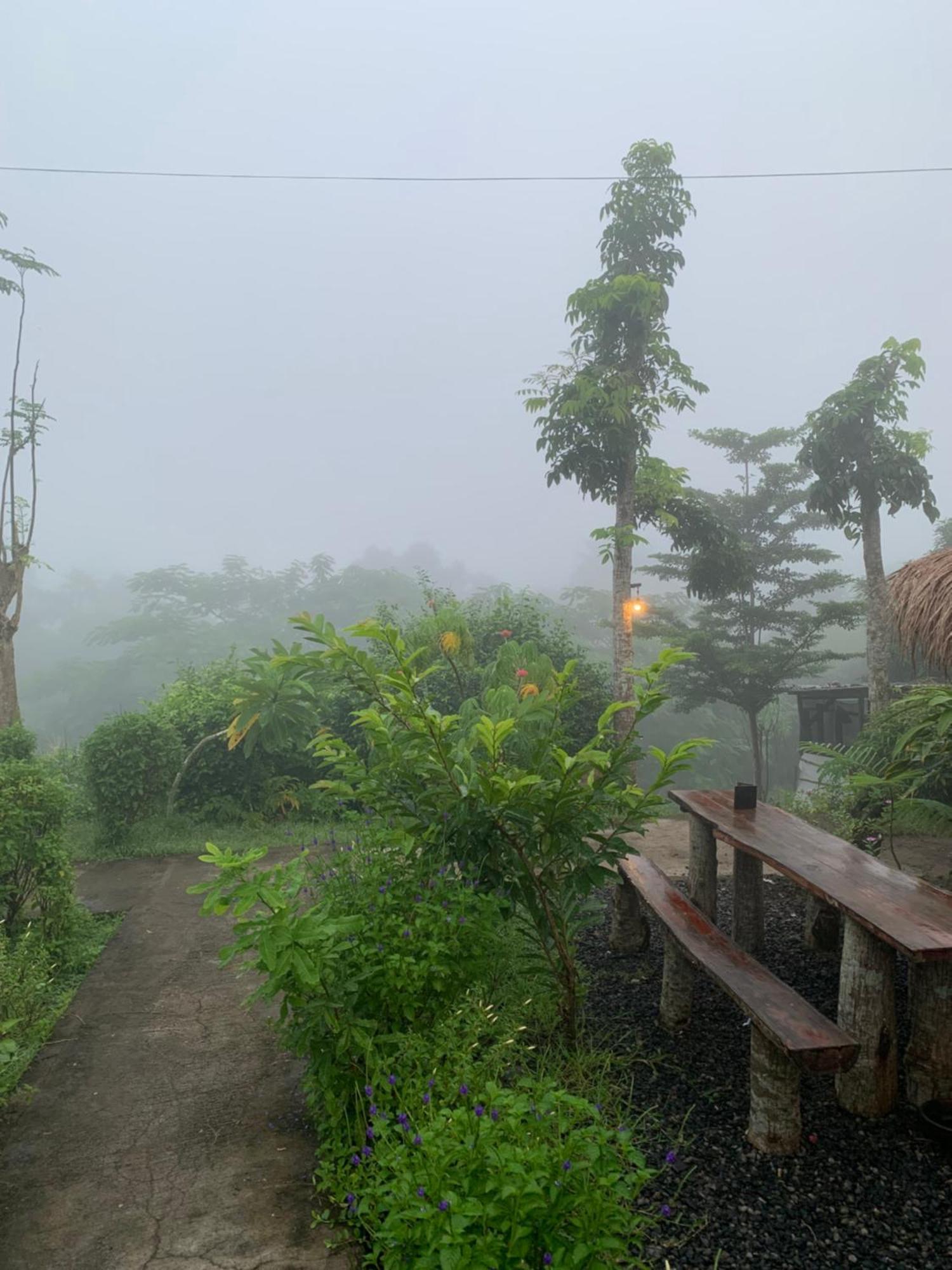 Tommy Homestay Plambi Exterior photo